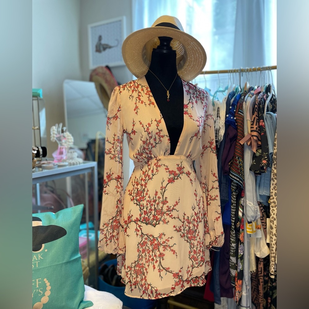 Printed Sheer Dress